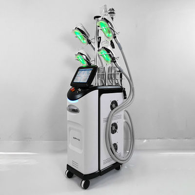 डबल चिन क्रायोलिपोलिसिस स्लिमिंग मशीन 110V 220V